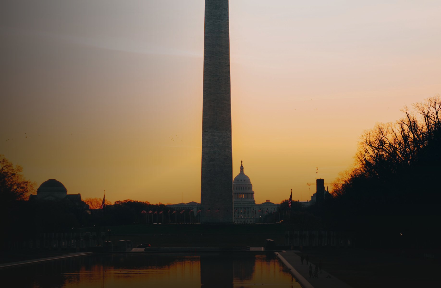 The Washington Monument at dawn